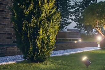 Stilvoll beleuchteter Garten mit Steinel Spots, die gezielte Lichtakzente auf Pflanzen setzen.