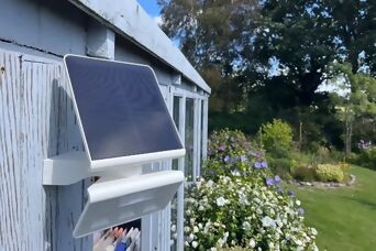 Ein auf einem Holzschuppen montiertes Solarpanel, umgeben von einem üppigen Garten mit bunten Blumen und Grünpflanzen unter einem sonnigen Himmel.