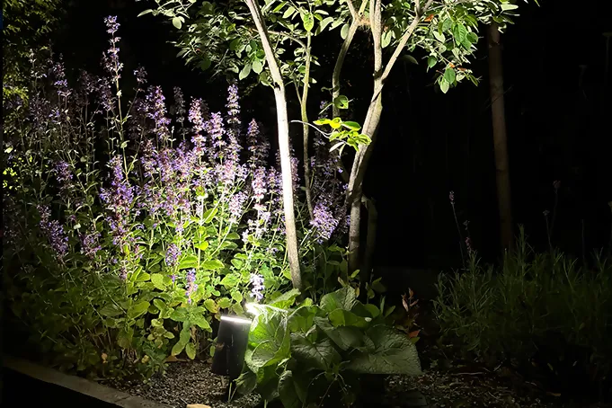 Gartenbeleuchtung im Beet: Steinel Spot Garden beleuchtet Stauden und Gehölze