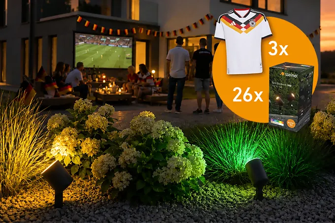 ls-wm26-sommermaerchen-landingpage-box-gewinnspiel.jpg
